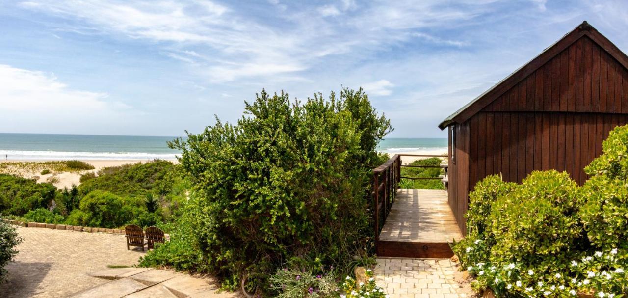 Albergue Island Vibe Jeffreys Bay Exterior foto